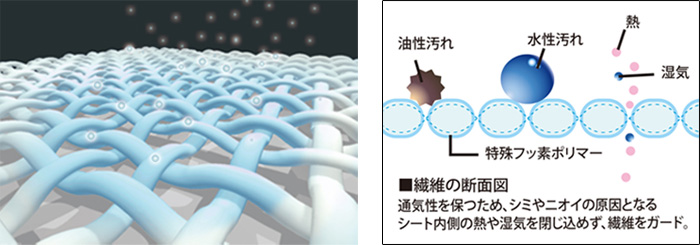 繊維の断面図